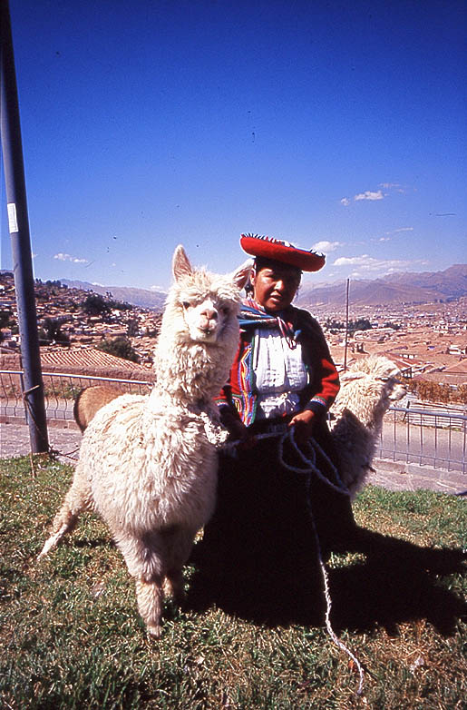 cuzco6